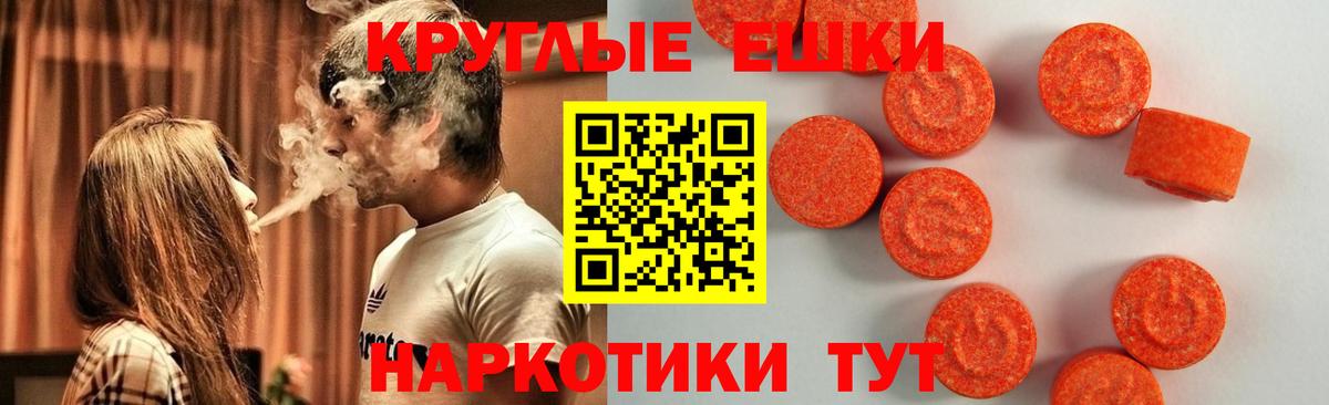 Ecstasy Philipp Plein Елец